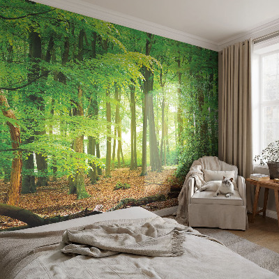 Fototapete fürs Schlafzimmer mit grünem Waldmotiv