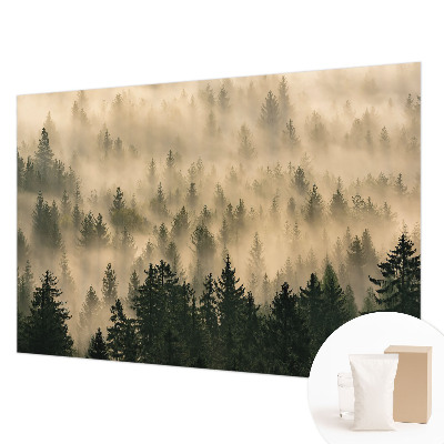 Vlies-Fototapete fürs Schlafzimmer mit Motiv ‚Waldnebel‘