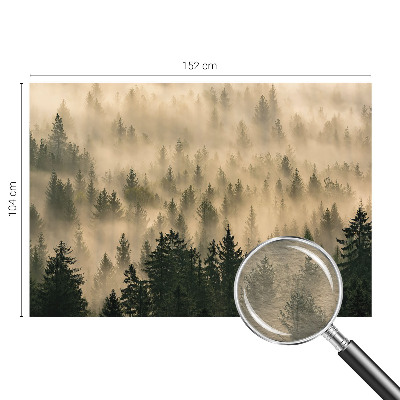 Vlies-Fototapete fürs Schlafzimmer mit Motiv ‚Waldnebel‘