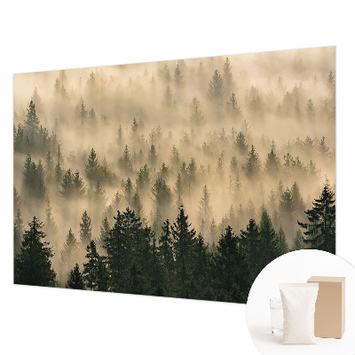 Vlies-Fototapete fürs Schlafzimmer mit Motiv ‚Waldnebel‘
