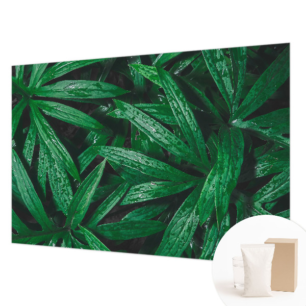 Fototapete Natürliches Grün