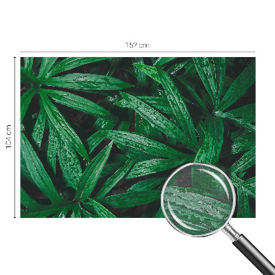 Fototapete Natürliches Grün