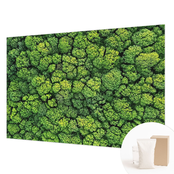 Moderne Vlies-Fototapete Waldpanorama