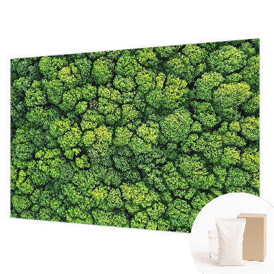 Moderne Vlies-Fototapete Waldpanorama