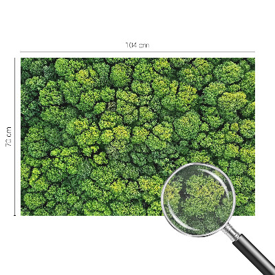 Moderne Vlies-Fototapete mit einem Waldpanorama