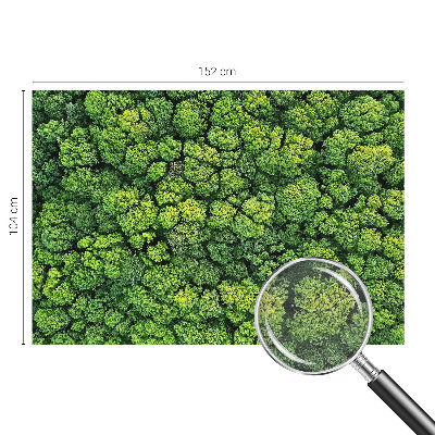 Moderne Vlies-Fototapete mit einem Waldpanorama