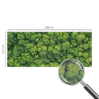 Moderne Vlies-Fototapete mit einem Waldpanorama