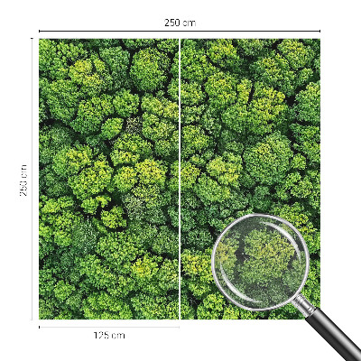 Moderne Vlies-Fototapete mit einem Waldpanorama