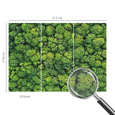 Moderne Vlies-Fototapete mit einem Waldpanorama