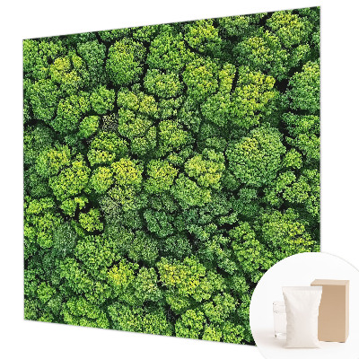 Moderne Vlies-Fototapete Waldpanorama