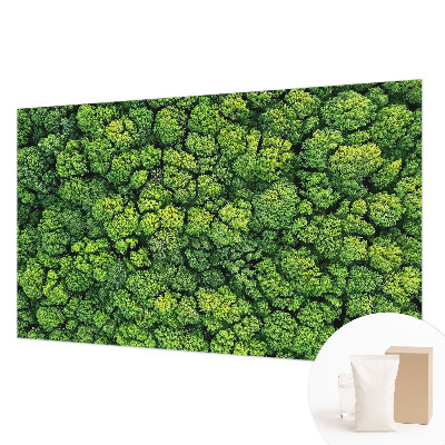 Moderne Vlies-Fototapete Waldpanorama