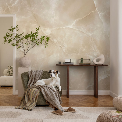 Fototapete fürs Wohnzimmer mit Natursteinoptik