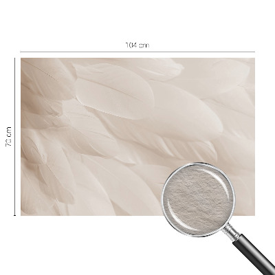 Vlies-Fototapete fürs Wohnzimmer mit einem Motiv aus ätherischen Federn