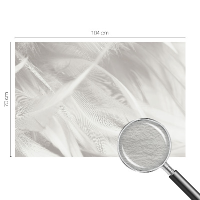 Vlies-Fototapete fürs Schlafzimmer mit feinem Feder-Motiv