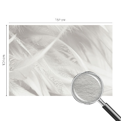 Vlies-Fototapete fürs Schlafzimmer mit feinem Feder-Motiv