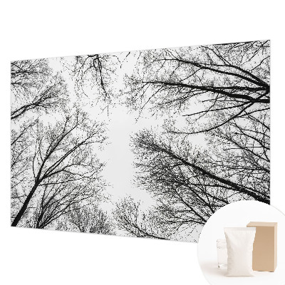 Motivtapete Kahle Äste