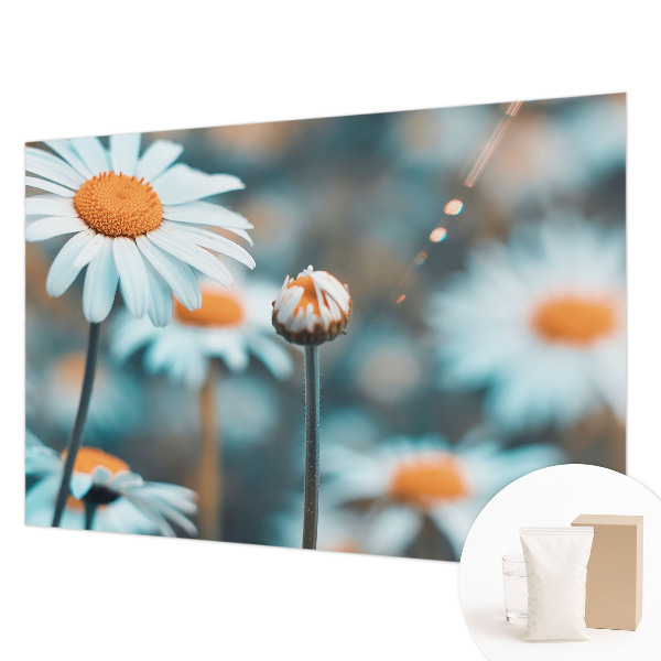 Vliestapete fürs Schlafzimmer Kamillendelikör