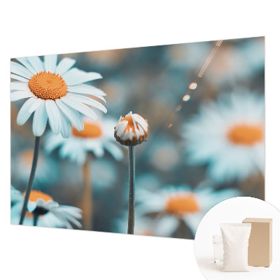 Vliestapete fürs Schlafzimmer Kamillendelikör