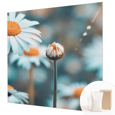 Vliestapete fürs Schlafzimmer mit Motiv in Form von Kamillenblüten