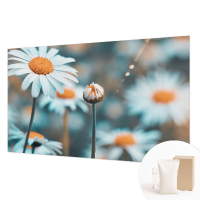 Vliestapete fürs Schlafzimmer mit Motiv in Form von Kamillenblüten