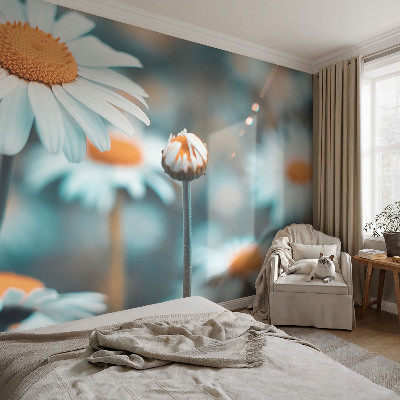 Vliestapete fürs Schlafzimmer mit Motiv in Form von Kamillenblüten