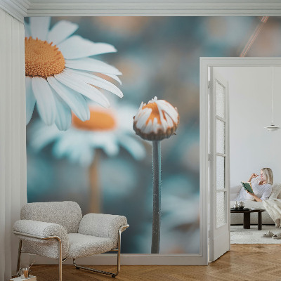 Vliestapete fürs Schlafzimmer mit Motiv in Form von Kamillenblüten