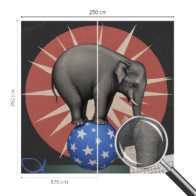 Wand-Fototapete mit Motiv eines Zirkuselefanten