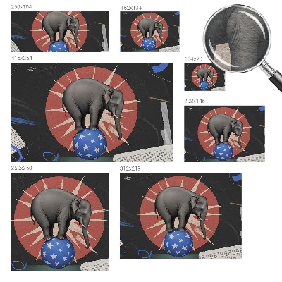 Wand-Fototapete Zirkuselefant