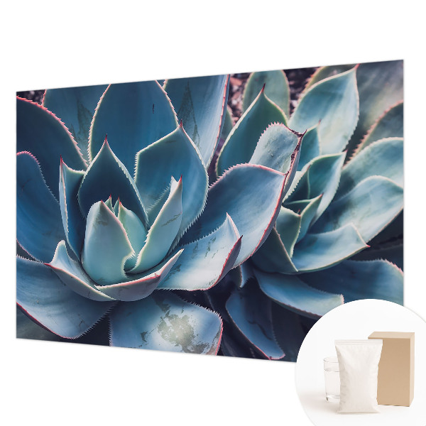 Vlies-Fototapete fürs Schlafzimmer Grüne Aloe