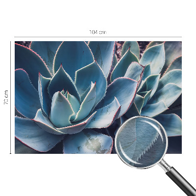 Vlies-Fototapete fürs Schlafzimmer mit grünem Aloe‑Motiv