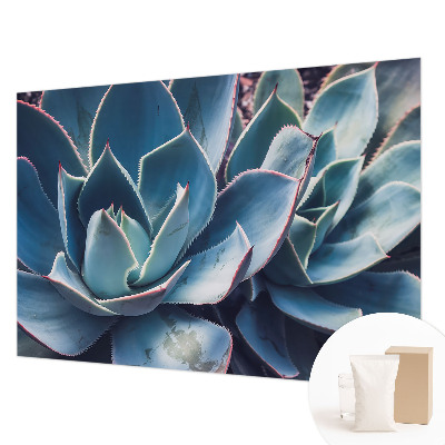 Vlies-Fototapete fürs Schlafzimmer mit grünem Aloe‑Motiv