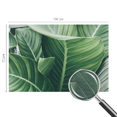 Fototapete aus Vlies Grüner Frieden