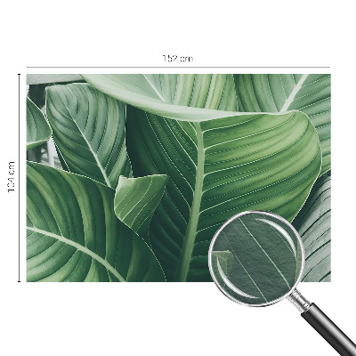 Fototapete aus Vlies Grüner Frieden