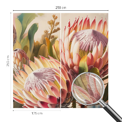 Fototapete fürs Kinderzimmer mit Protea-Blüten als Motiv