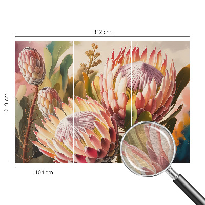 Fototapete fürs Kinderzimmer mit Protea-Blüten als Motiv