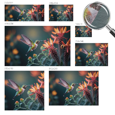 Vlies-Fototapete fürs Wohnzimmer mit Kolibri- und Blumenmotiv