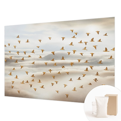 Vlies-Fototapete mit dem Motiv fliegender Vögel