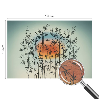 Moderne Vlies-Fototapete mit harmonischem West-Design