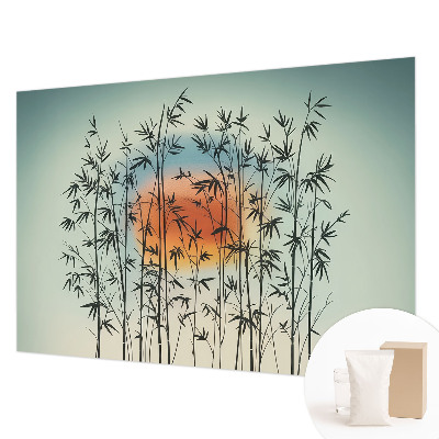 Moderne Vlies-Fototapete mit harmonischem West-Design