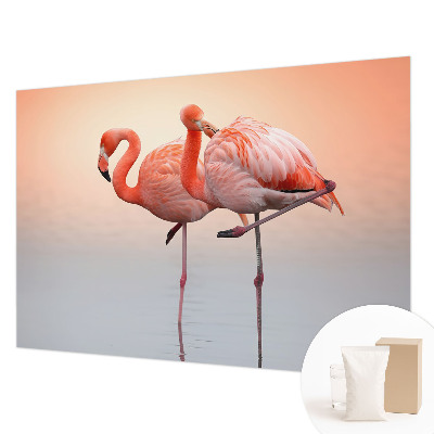 Bildtapete Zarte Flamingos