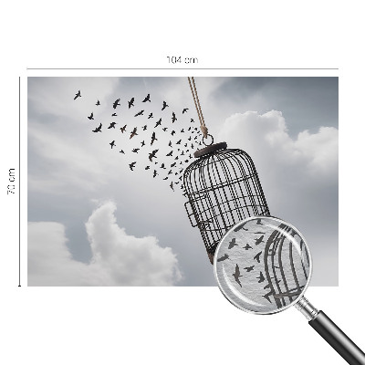 Vlies-Fototapete nach Maß mit einem Motiv fliegender Vögel