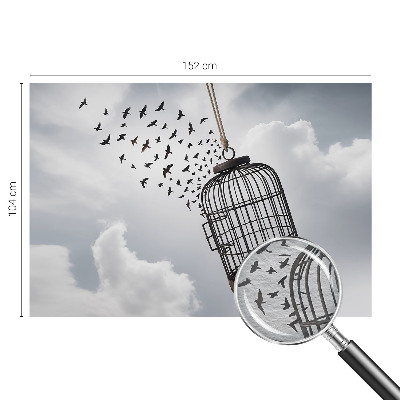 Vlies-Fototapete nach Maß mit einem Motiv fliegender Vögel