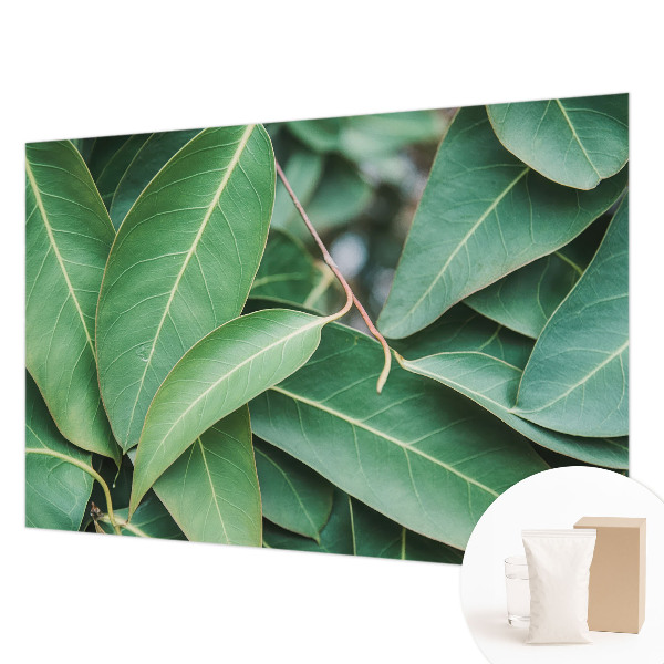 Moderne Vlies-Fototapete Grüne Blätter