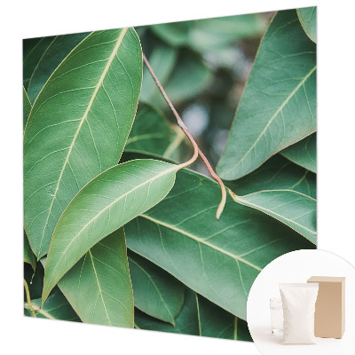 Moderne Vlies-Fototapete Grüne Blätter
