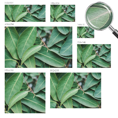 Moderne Vlies-Fototapete Grüne Blätter