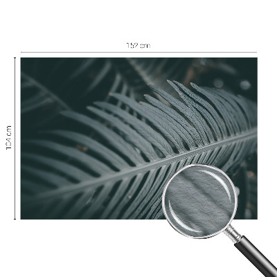 Fototapete nach Maß mit Motiv grünes Blatt