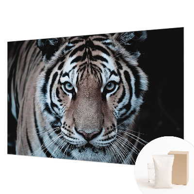 Motivtapete aus Vlies mit Tigerporträt