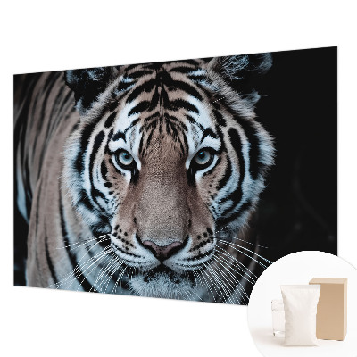 Motivtapete aus Vlies mit Tigerporträt