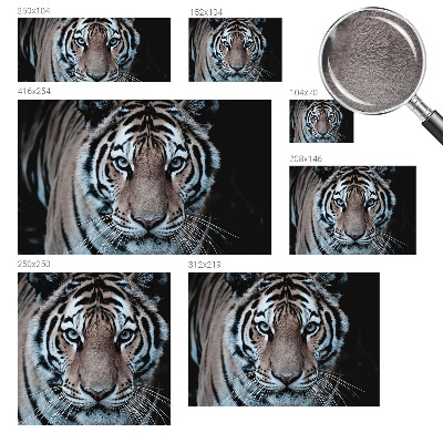 Motivtapete aus Vlies mit Tigerporträt