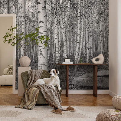 Vliestapete fürs Schlafzimmer mit Motiv eines Birkenwaldes